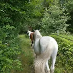 La Fantasia