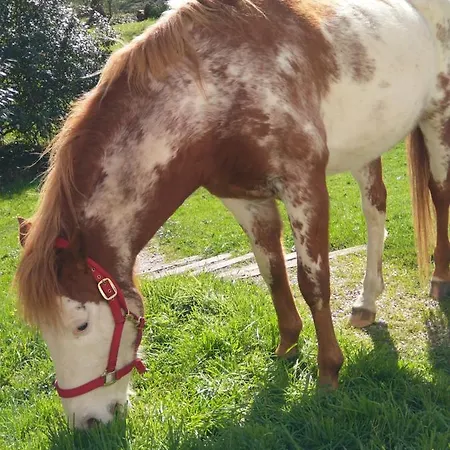 Nocleg ze śniadaniem La Fantasia 3*