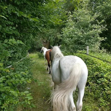 La Fantasia